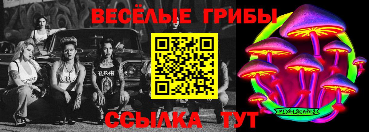 Псилоцибиновые грибы ЛСД Гурьевск